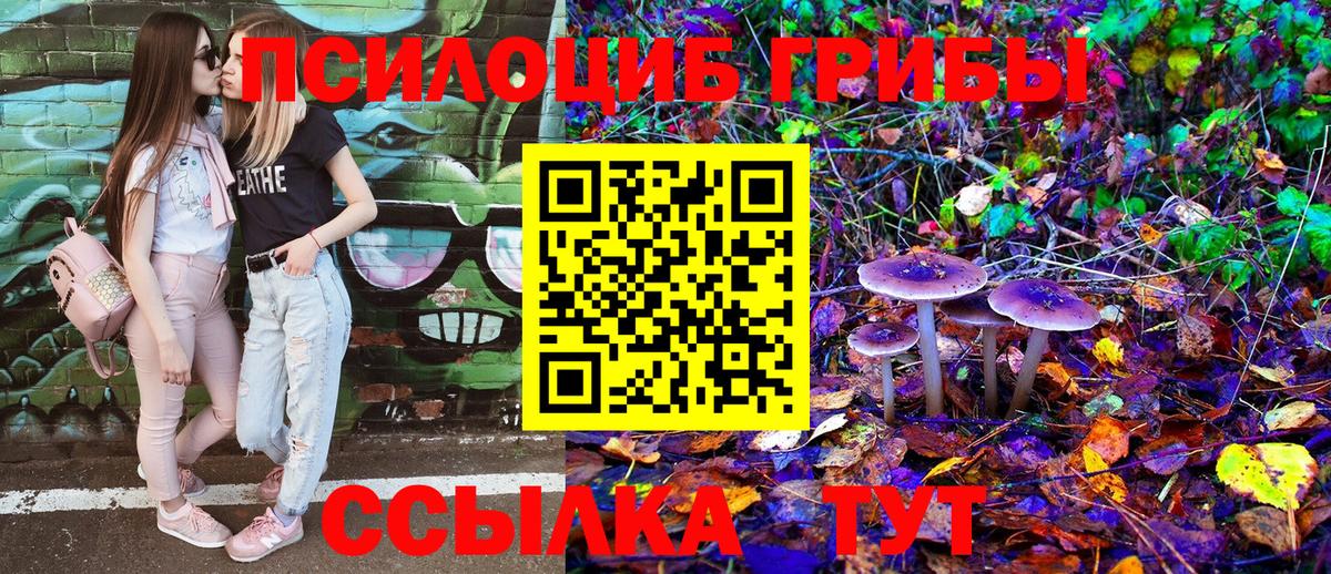 Псилоцибиновые грибы мицелий Джанкой