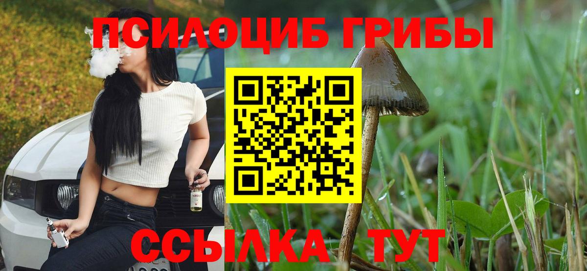 Галлюциногенные грибы мухоморы  Вход с VPN  Джанкой  Псилоцибиновые грибы Psilocybine cubensis 
